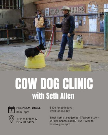 cowdog clinic, Erda Utah, working dog